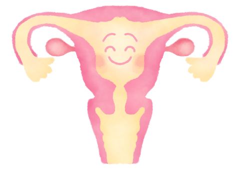 子宮とオレンジオイル