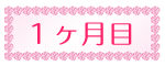 1ヶ月目