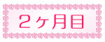 2ヶ月目