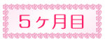 5ヶ月目