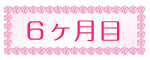 6ヶ月目
